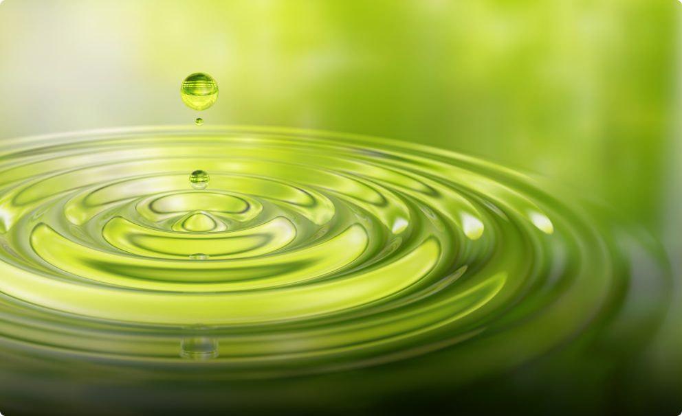 WATER EFFICIENCY